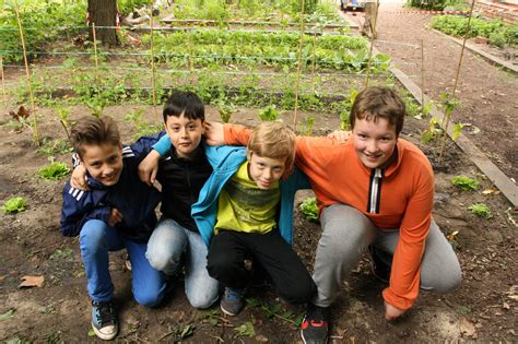 Wir reparieren gemeinsam mit ihnen ihre elektrischen und mechanischen kleingeräte, aber auch textilien, fahrräder, spielzeug und andere dinge. Ackerdemie für junges Gemüse: Gartenprojekt mit ...