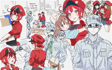 This was an anime that caught a lot of the community by surprise and week after week it primarily delivered solid fun and cuteness. Anime picture hataraku saibou david production platelet ...