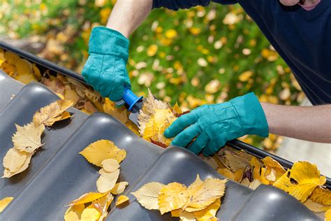Homeowners who use one of the three pestfree 365 services can grow to trust the assigned technician dedicated to their home. Northwest Exterminating - Pest & Termite Control ...