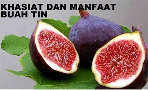 Nutrisi pada buah tin kering (100 grams). Tin dan Zaitun Banjarmasin: Khasiat dan Manfaat Buah Tin
