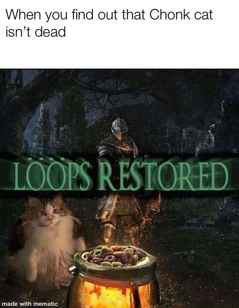 What does this exactly mean? This does put a smile on my face : dankmemes