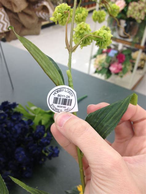 Maybe you would like to learn more about one of these? Green puff flower. Back of tag. | Flowers, Wedding flowers ...