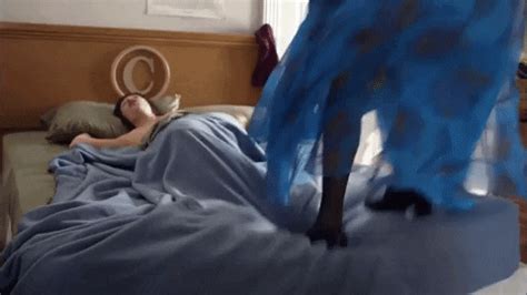 Home alone naughty teens 2 (2015). Jump On The Bed GIFs - Find & Share on GIPHY