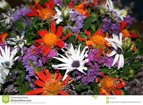 Flowers for my lovely wife. Flower given to my wife 3 stock photo. Image of flower ...