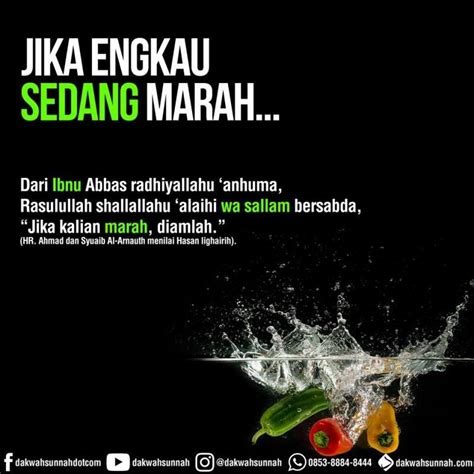 Jadi bagaimana bisa bahagia jika hati dipenuhi oleh rasa iri dan dengki terhadap orang lain? JIKA ENGKAU SEDANG MARAH, DIAMLAH | Muslim quotes, People ...