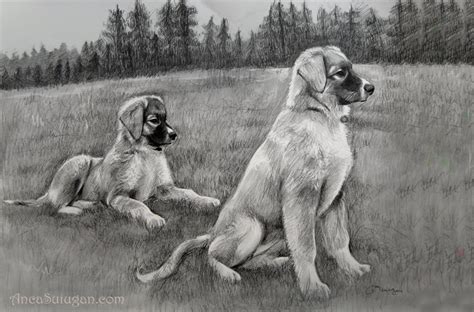 Planse desene de colorat caine 50 caine desen cu animale. Anca Suiugan » Desene cu animale Oferă cadou un portret ...