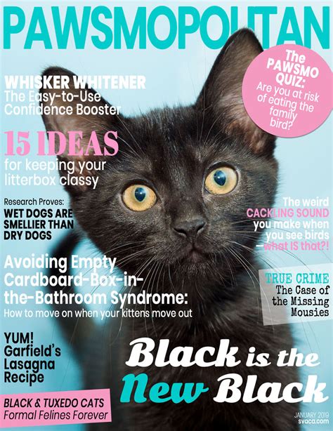 Search for cats for adoption at shelters near massachusetts, ma. I Created Faux Magazine Covers To Boost Black Cat Adoption ...