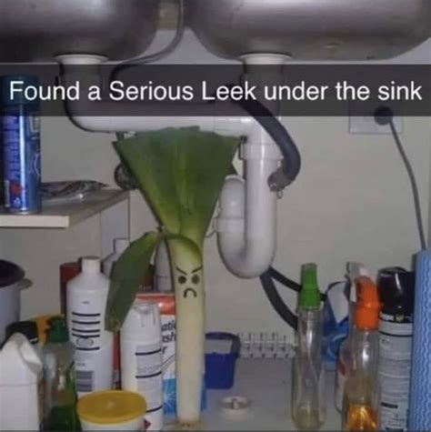 I have an intermittent leak under my kitchen sink. Pin by Faith Forgiven on Funnies in 2020 | Leeks, Sink ...