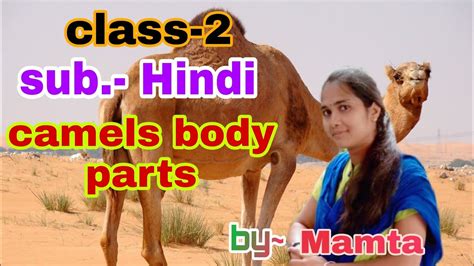 All parts of body (वजन) names list in hindi and english with meaning & pronunciation sound. Camels body parts || CLASS~2 || MAMTA(HINDI) || TPKM KV ...