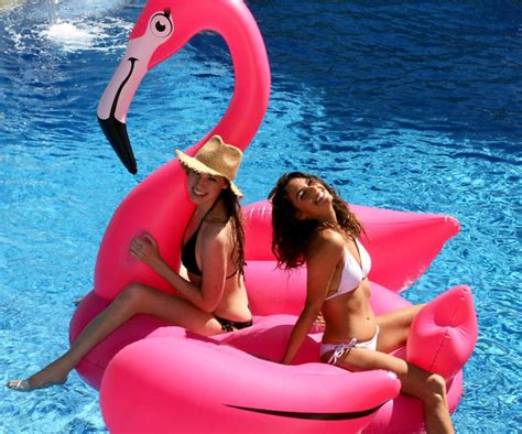 Find the perfect pink flamingo float stock illustrations from getty images. Gigantic Pink Flamingo Float