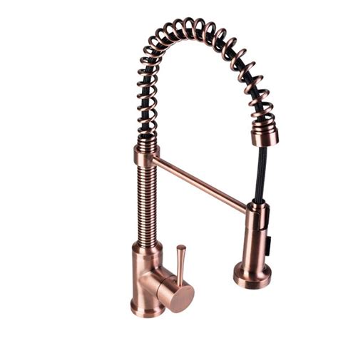 Check spelling or type a new query. FontainebyItalia Spring Coil Flat Spray Head Pull Down ...