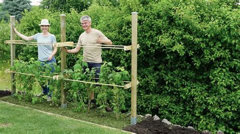 Ein sammeln über viele jahre! Video: Himbeerspalier bauen | Garten, Garten anpflanzen ...