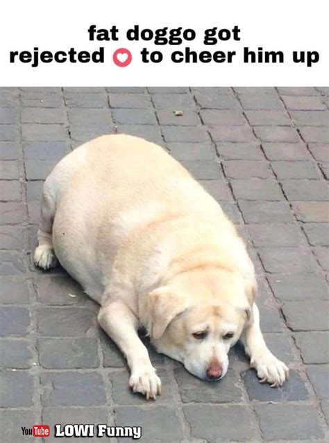 The best memes from instagram, facebook, vine, and twitter about fat doggo. Fat Doggo - The Fat Dog Craft Beer Wine Spirits Kitchen ...