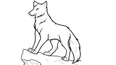 Template of portrait of white wolf and black wolf with a black background. How to Draw a Wolf Step by Step | Draw a Wolf for Kids ...