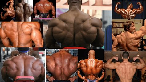 Within this group of back muscles you will find the latissimus dorsi, the trapezius, levator scapulae and the rhomboids. Back Muscles Reference : When Arnold Says Ill Be Back in ...