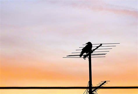Before you go off to amazon and buy your shiny new hdtv antenna, an important first step is learning what signals you can receive at your home and how strong those signals are. Ways to improve poor antenna reception - Flux Magazine