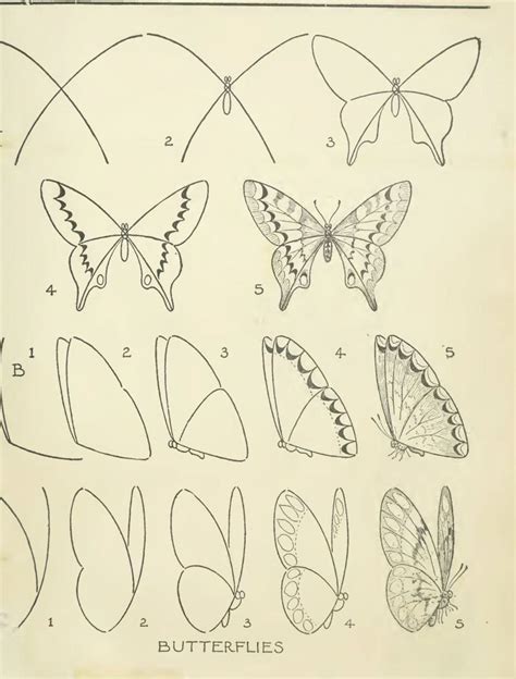 Hello friends in this video you learn about how to draw a realistic butterfly with pencil colors,step by step. #ClippedOnIssuu from E.G. Lutz - Drawing Made Easy (With ...