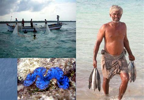 Lakshadweep, one of world's most spectacular tropical island systems, is tucked away at. Lakshadweep's Muslim Women Conquer The Earth by Papri Sri ...