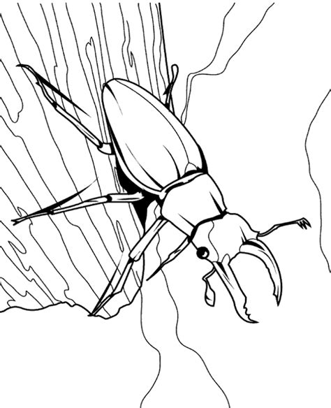 Learn about different ecosystems, life sciences, and geography with this. Forest bug coloring picture - Topcoloringpages.net