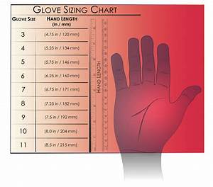 Glove Size Chart Dpsskisstore