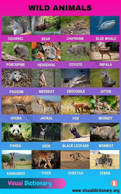 The word literally means meat in swahili. Wild Animals: List of 50 Common Wild Animals Vocabulary ...