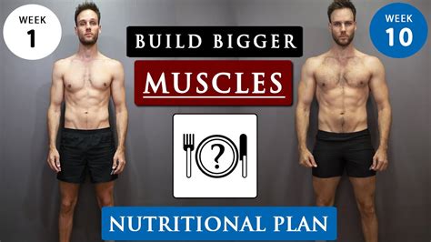 Recovery, tips and tricks, next step i've attempted this diet back in my younger days, and although my stomach hated me, i certainly had success with it, mostly because it was. How to gain MUSCLE for SKINNY guys | Full DIET plan ...