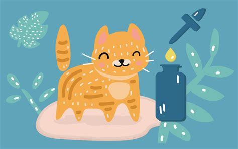 Purchasing cbd oil for cats. The Greatest Benefits of CBD Oil for Cats | Infolific