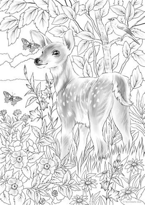 Hier is een online kleurplaat van een hertje, samen met een konijntje en een roodborstje. Baby Deer - Printable Adult Coloring Page from Favoreads ...