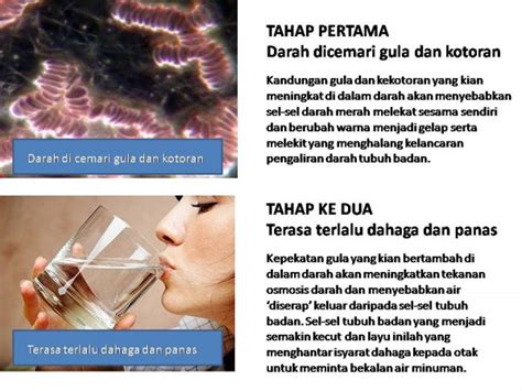 Sudah memadai untuk periksa tekanan darah dan juga gula dalam badan. Apa itu Kencing Manis@ Diabetes Melitus? - Surirumah ...