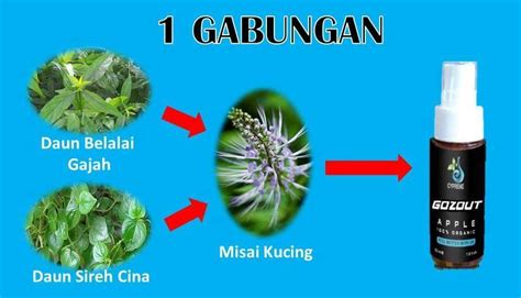 Alhamdulillah, 1 minggu husband akak makan ubat ni dah tiada serangan gout. gozout ubat gout dan kencing manis paling berkesan dan ...