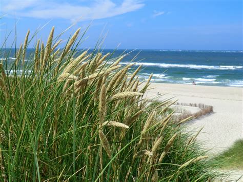 Natural knockers #5 video on demand from peter north. Free Images : beach, landscape, sea, coast, water, nature ...