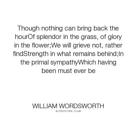 In creating poetry, wordsworth reflects/recollects. William Wordsworth - "Though nothing can bring back the hourOf splendor in the grass, of glory ...