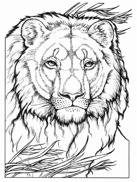 Its a wonderful combination of texture and colour that together form a spectacular pair of earrings. Wild Animal Coloring Books Beautiful 20 Best Images About Big Cat Coloring Pages On Pinterest in ...
