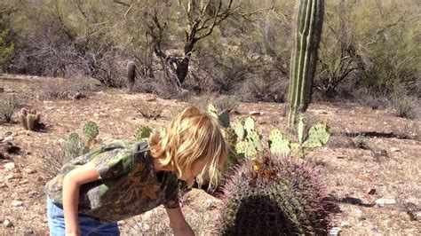 If you're lucky, you might see one or two that are 10 feet tall. Sonora the Snake Girl - Fish hook Barrel Cactus - YouTube