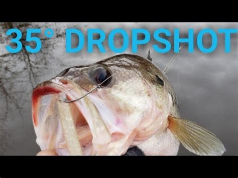 This is a good time to bust out your topwater baits. Catching BASS in SNOW! | bass fishing in water below 40 ...