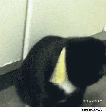 Teen cums really hard from rubbing her virgin pussy. MRW she failed to mention shes a squirter - Meme Guy