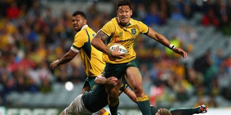 All you need for scouting is wallabies. Qantas Wallabies versus South African Springboks | Events ...