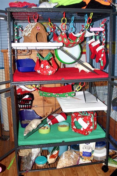 Rat hammocks can be crafting using wool, cheese, and string. Decorating for Christmas rat cage! I love how they used teething rings to hang the hammocks ...