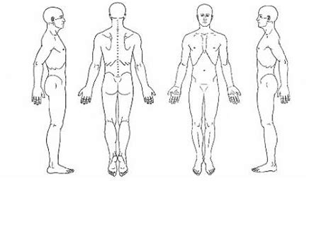 Standing erect hands at side with palms facing forward feet together. 4219925618_cd3c830a06.jpg