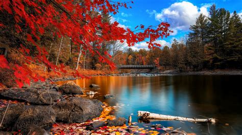1 2 3 4 5 6 7 8 9 10 11. river, Nature, Trees, Fall Wallpapers HD / Desktop and ...