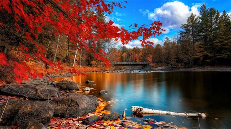 We present you our collection of desktop wallpaper theme: river, Nature, Trees, Fall Wallpapers HD / Desktop and ...