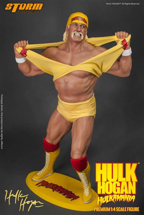 Настоящее имя те́рри джин болле́а (англ. 1:4 HULK HOGAN - HULKAMANIA Premium Figure "LIMITED ...