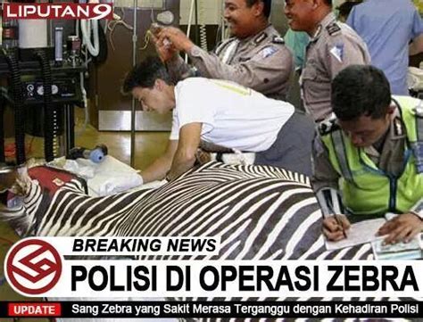 Lihat ide lainnya tentang meme lucu, lucu, meme. Koleksi Gambar Meme Foto Lucu Unik Operasi Zebra dan Razia ...
