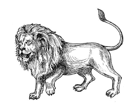 Enjoy these free coloring pages to color, paint or crafty educational projects for young children, preschool, kindergarten and early elementary. Lion afrique - Coloriage de lions - Coloriages pour enfants