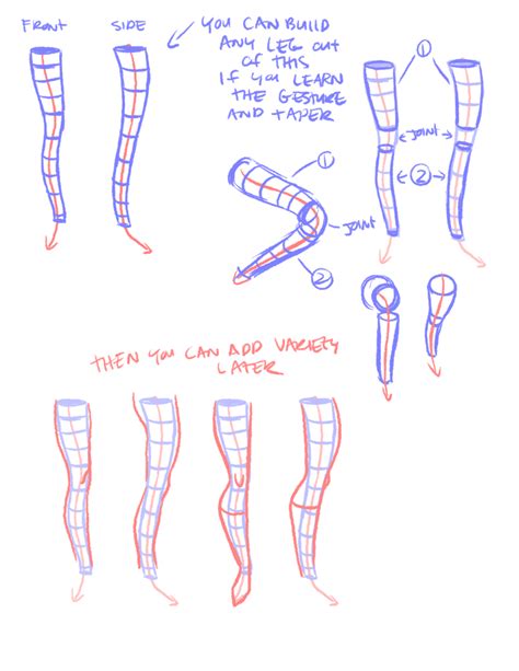 In 2020 (with images) | art reference poses, furry. Rad how to: Legs