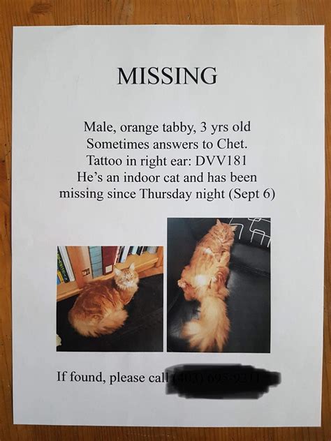 A good way to ensure your cat's dental health is to brush his teeth on a daily basis either with a finger brush or special toothbrush. Missing cat in McKenzietowne near Elgin View SE! Please ...