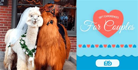 Check spelling or type a new query. Gift Experiences for Couples - 12 Unusual Experience Days ...