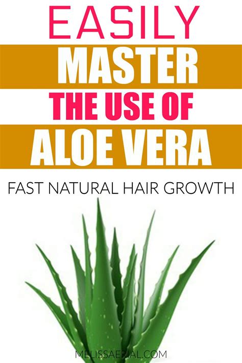 However, researchers believe that aloenin, a chemical compound in the plant, is a primary factor in. Aloe Vera Gel For Hair Growth And How To Use It On Your ...