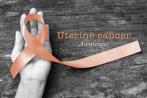 Endometrial cancer, the most common form, begins in the inner lining of the uterus. Uterine Vaginal Endometrial Cancer And Gynecologic Cancer ...