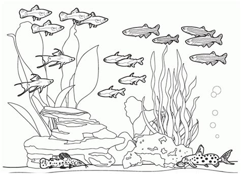 This coral reef coloring page features a trio of friendly fish swimming beside a coral reef. Ocean Bed Coral Reef and Undertwater Animals Ocean ...